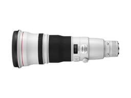 Canon EF 600mm f/4 L IS II USM
