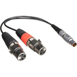 Atomos Lemo til XLR Breakout kabel
