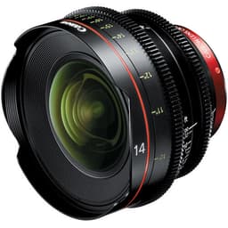 Canon CN-E Primes Bundle 14/24/50/85/135