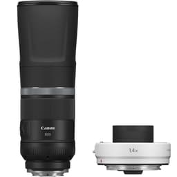 Canon RF 800mm f/11 IS STM  Ext RF 1.4x