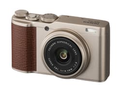 FujiFilm XF10 - gull