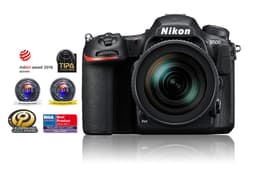 Nikon D500  16-80 f/2.8-4.0 VR