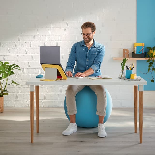 Leitz Ergo Cosy aktiv balanseball