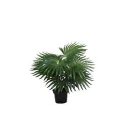 Kunstig plante af høj kvalitet - 30 cm