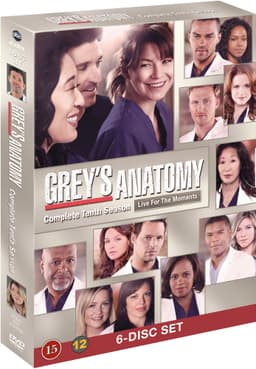 Greyn anatomia - Kausi 10 (DVD)