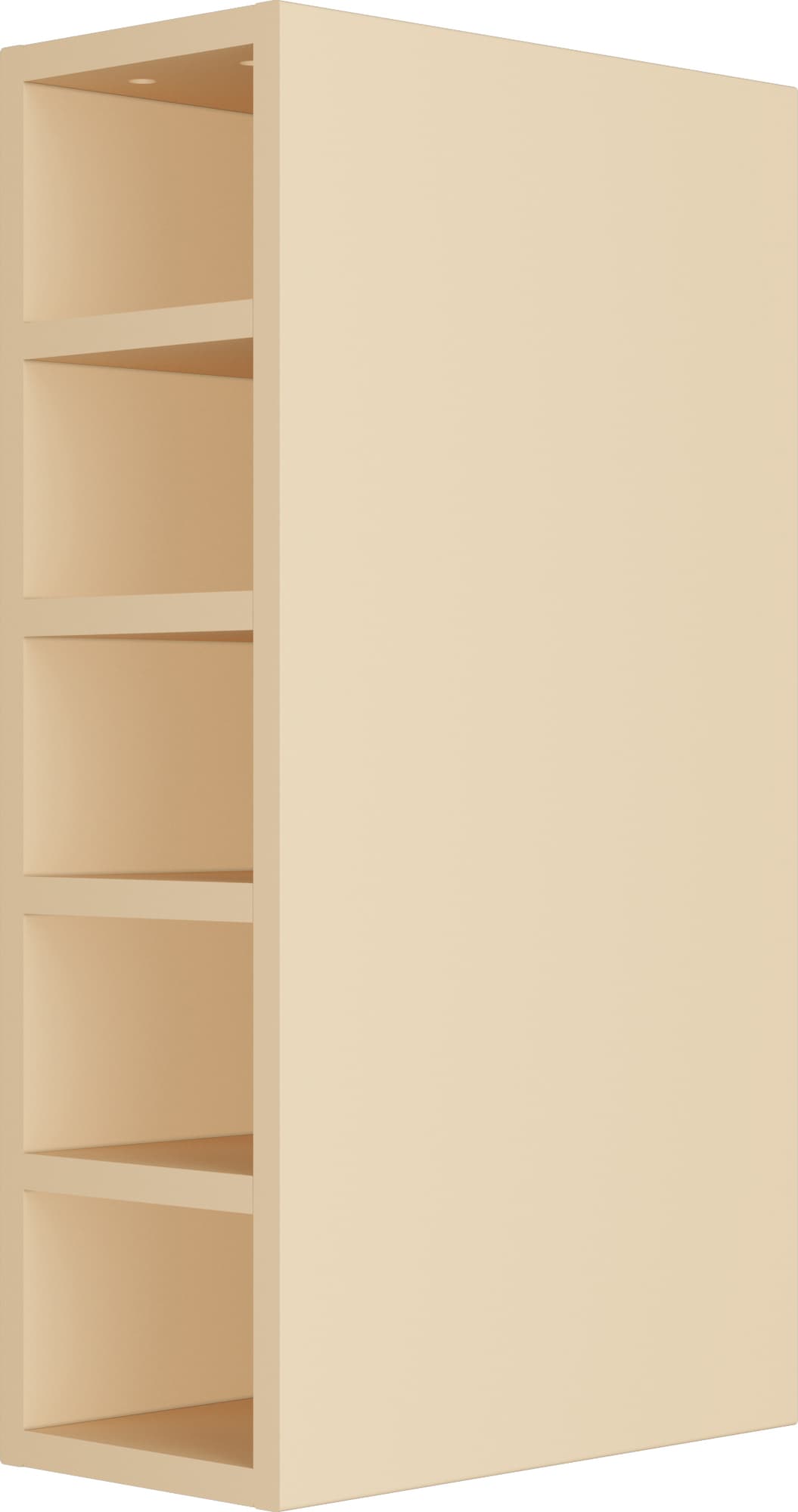 asset
