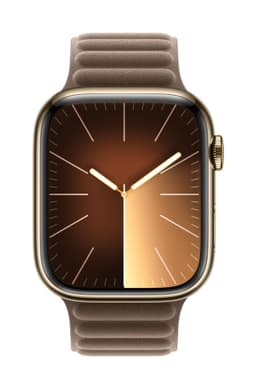 Apple 45mm Magnetic Link - S/M (muldvarpgrå)