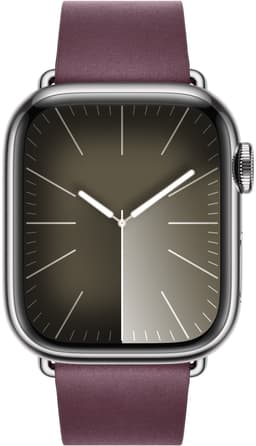 Apple 41mm Modern Buckle (mulberry) large