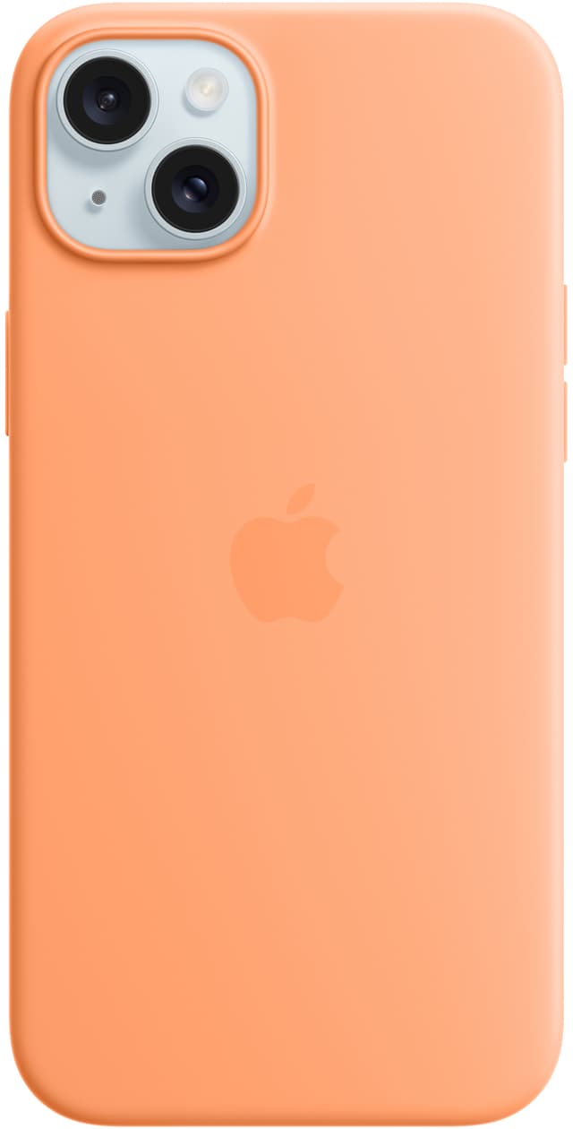 Orange Sorbet