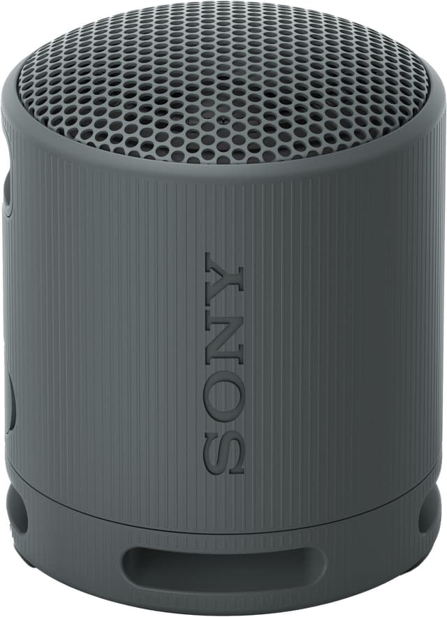 Sony SRS-XB100 bærbar trådløs høyttaler (sort)