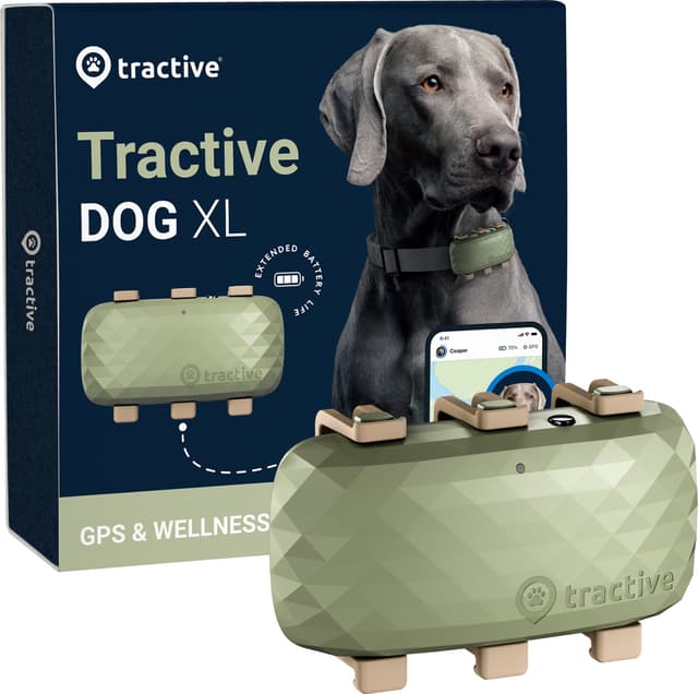 Tractive DOG XL GPS tracker hund