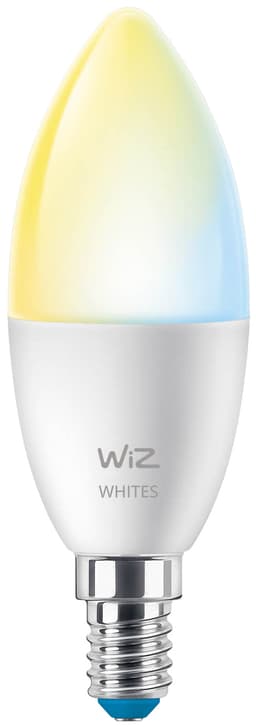 Wiz Connected Tunable Wi-Fi BLE LED pære 4,9W E14 3-pakning