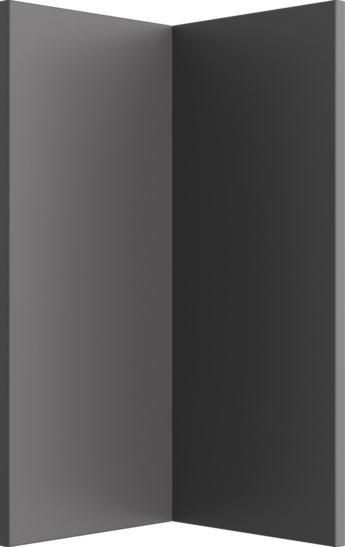 asset