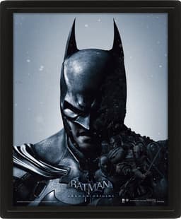 Batman Arkham 3D lentikulær plakat
