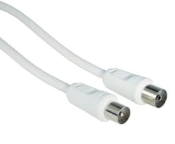 Hama Antennkabel 75 dB (2m)