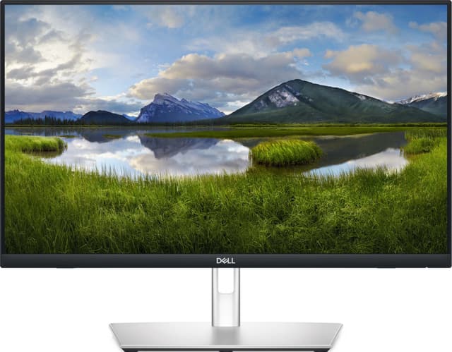 Dell P2424HT 24" bildskärm med touch