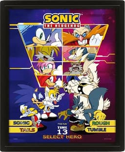 Pan Vision Pindsvinet Sonic 3D-plakat (Fighter)