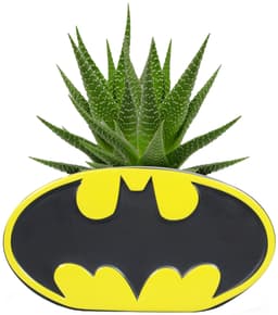 Play Batman blomkruka