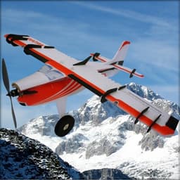 RCF Backyard BIG Crack Turbo Beaver ARF