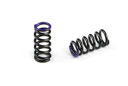SER-401711 Spring Purple C8.4 4-X (2)