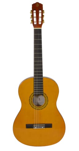 Bryce classical guitar