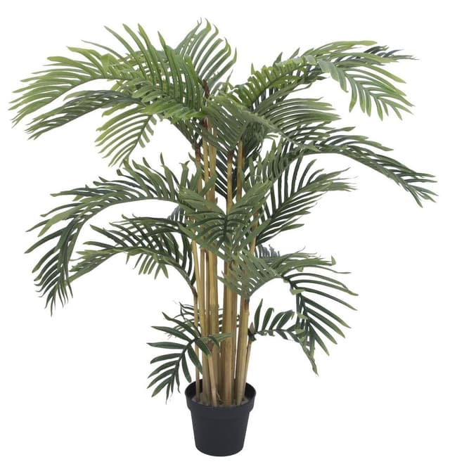 Kentia palmetræ, 140 cm.