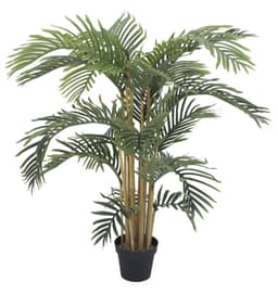 Kentia palmetræ, 140 cm.