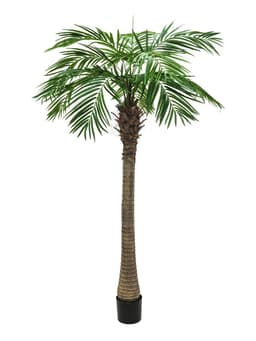 Artificial phoenix palm tree luxor 150 cm