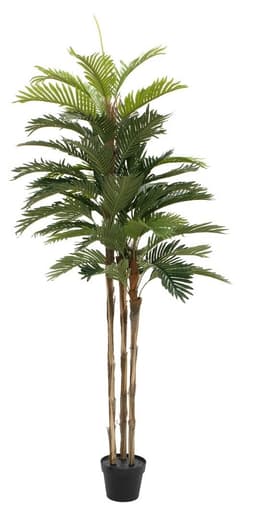 Kentia palm tree, artificial plant, 150cm