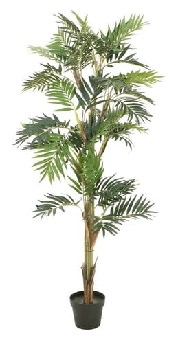 Parlor palm, artificial plant, 150cm