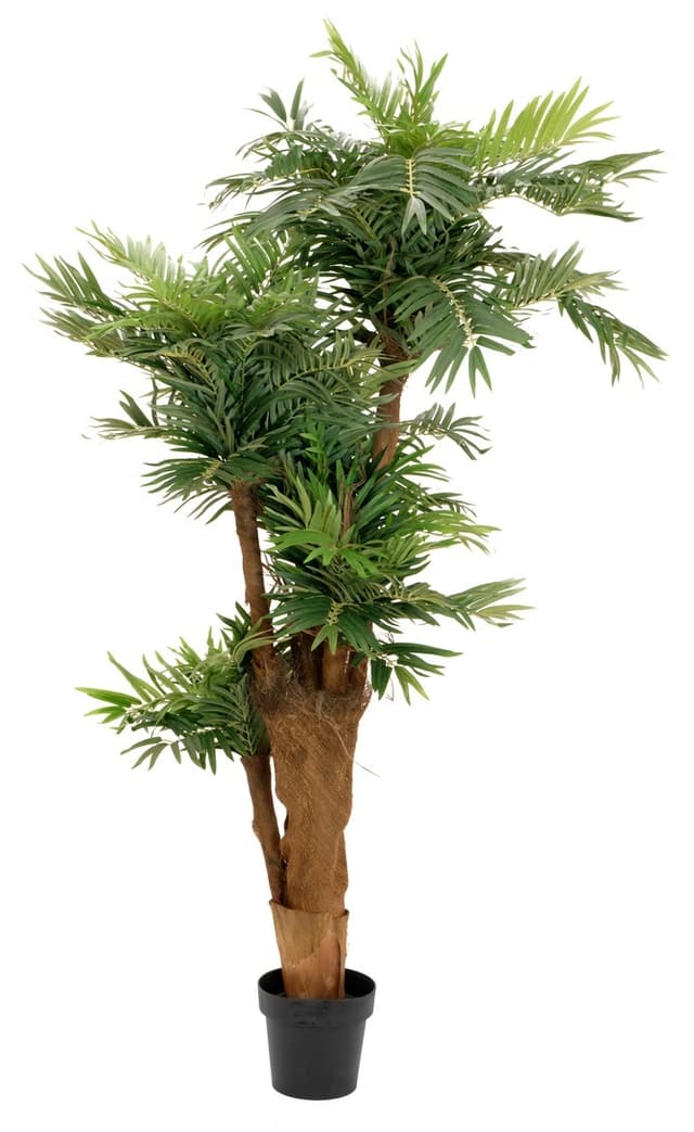 Kunstig Areca palme, 170 cm.