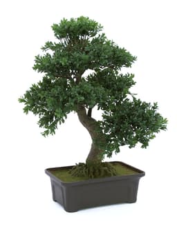 Kunstig bonsai, 61 cm