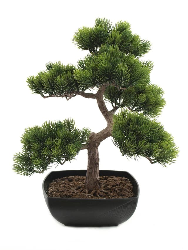 Kunstig nåle bonsai, 50 cm.