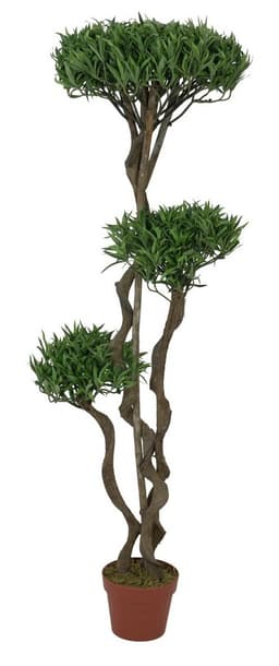 Europalms bonsai tree, multi trunk, 130cm
