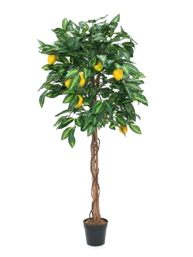 Kunstig Citrontræ, 150 cm
