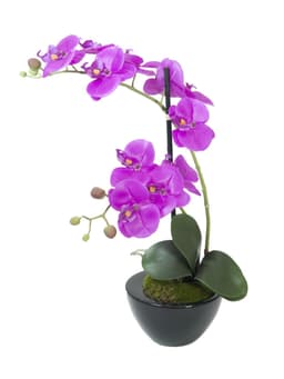 Artificial orkide in pot