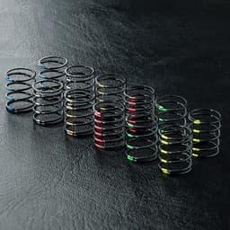 MST-820132 Coil spring set (12)