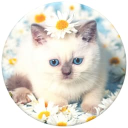 PopSockets vaihtokuori (Purr-fect flower)