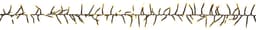 Nordic Season Premium Collection julelys EJ20619118