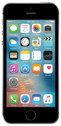 iPhone SE 64 GB (stellargrå)
