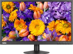 Lenovo ThinkVision E24 23,8" skjerm (sort)