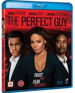 The Perfect Guy (Blu-ray)