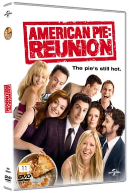 American Pie 8 - Reunion (DVD)