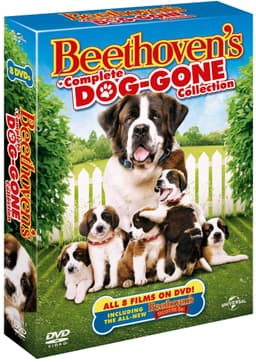 Beethoven - DVD boks