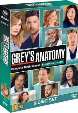 Greys Anatomy - Säsong 9 (DVD)
