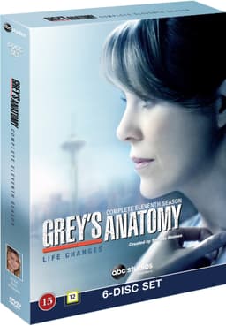 Greys Anatomy - Säsong 11 (DVD)