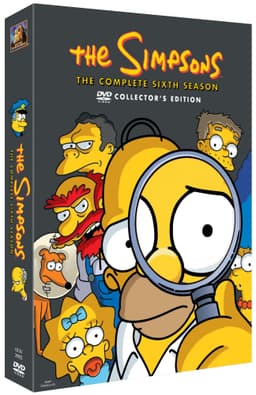 DVD - The Simpsons sæson 6