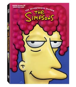 Simpsons - Säsong 17 - Head Version (DVD)