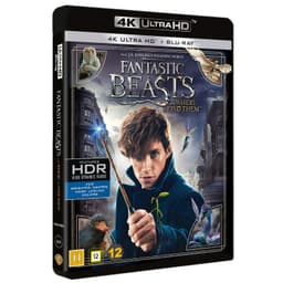 Fantastiska vidunder och var man hittar dem (4K UHD)