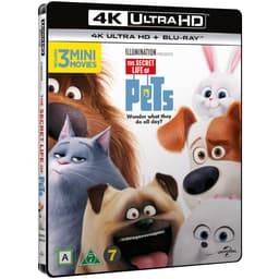 Kæledyrenes hemmelige liv - 4K UHD
